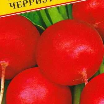 Редис «Черриэт», 1 г (Престиж)